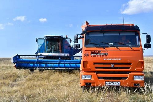 В Туве увеличивается база зерновых собственного производства