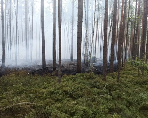 В Туве вновь объявлен режим ЧС из-за лесных пожаров