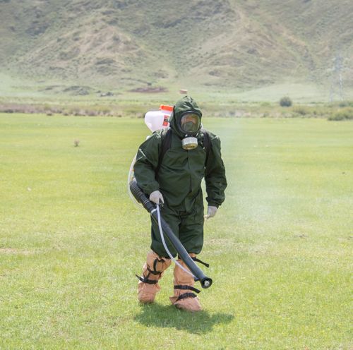 В Барун-Хемчикском районе зафиксировали случай заболевания жителя сибирской язвой