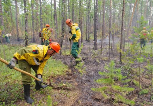 В Туве за сутки ликвидировано четыре пожара на общей площади 1719 га