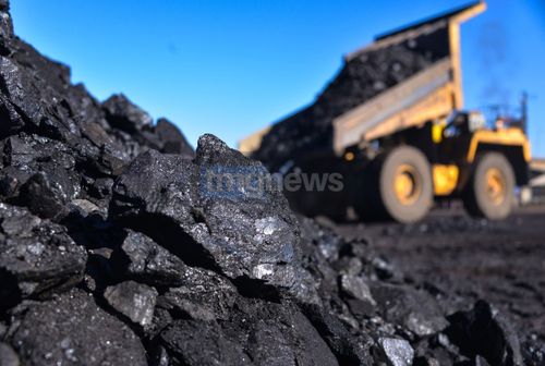 Хөмүр-даш шыгжамырларынче «кара алдынны» чедирип эгелээн