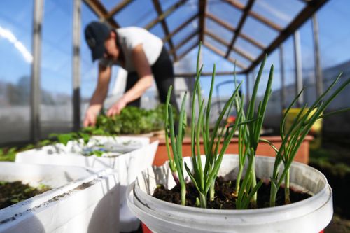 День дачника в России