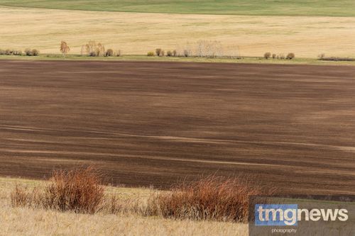 В Туве общая посевная площадь сельскохозяйственных культур составила 29,2 тысячи гектаров