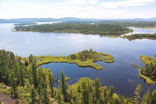 Заповедник «Азас» и Центр защиты леса Тувы подписали соглашение о сотрудничестве