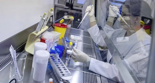 В Туве среди штаммов коронавируса доминирует «ниндзя»