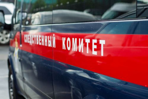 В Туве проверяют обстоятельства гибели 13-летнего ребёнка