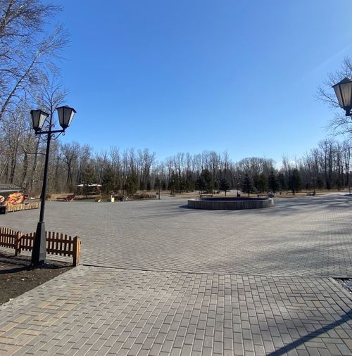 «Не забудьте прогуляться!». Сегодня отмечается Международный день прогулки по парку