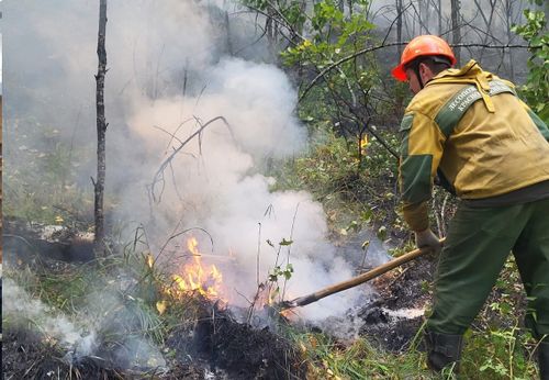 В Туве действует 22 лесных пожара на общей площади 27433,70 га