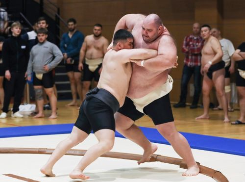 В Туве пройдет чемпионат СФО по сумо и спортивной борьбе