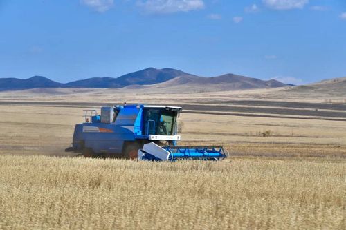 План кормозаготовки в Тандинском районе выполнен на 76 процентов