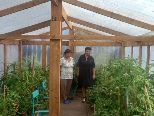Жительница села Аянгаты построила теплицу с помощью соцконтракта