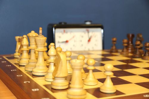 Сегодня профессионалы и любители из разных стран отмечают Международный день шахмат