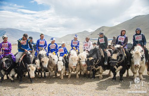 В Монгун-Тайгинском районе состоялся праздник, посвящённый якам и тем, кто их разводит