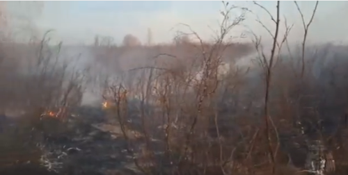 Как детские игры стали причиной степного пожара в Танды