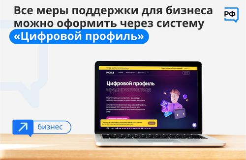 Предприниматели Тувы могут оформить заявку на любые государственные меры поддержки на платформе МСП.РФ