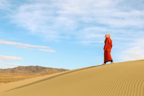 МТС разогнала мобильный Интернет по дороге в тувинскую пустыню