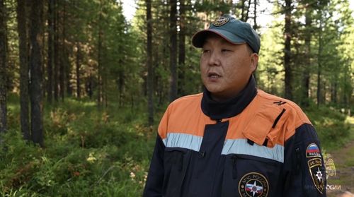 В Туве начался сезон сбора дикоросов: спасатели напомнили правила безопасности в лесу