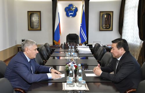 Кызылдың чаа микрорайоннарын электри четкилеринге кожар