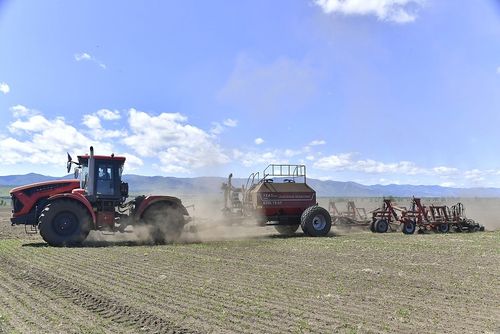 Тывада 2025 чылдың часкы тарылгазынга белеткел ажылдары эгелээн