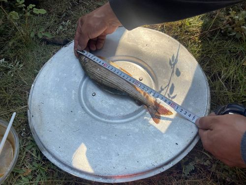 В Хову-Аксы прошёл открытый межрайонный турнир по рыбалке «Рыбалка – 2025»