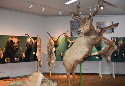 В Туве открылась выставка охотничьих трофеев
