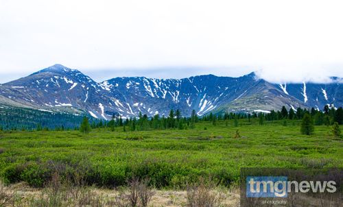 Агентство по делам национальностей запускает конкурс на гранты для поддержки тувинцев-тоджинцев