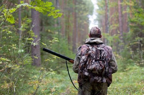 Каковы последствия для охотников за незаконную добычу животных