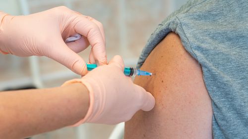 В Туве началась вакцинация от клещевого энцефалита