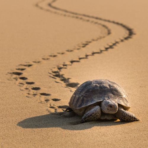 Сегодня весь мир никуда не торопится и ищет «нору спящего лета»