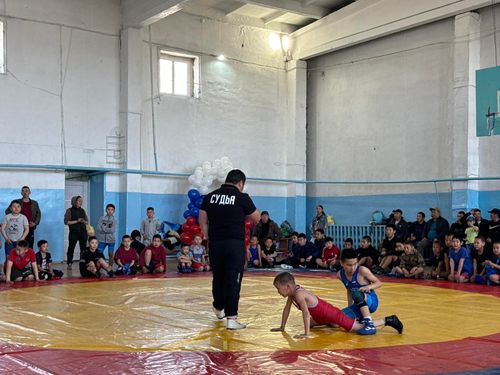 В Тес-Хемском районе прошел турнир по вольной борьбе среди юношей в честь погибшего участника СВО Айдына Ховалыга
