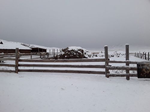 Зимовка скота в Пий-Хемском районе проходит в штатном режиме