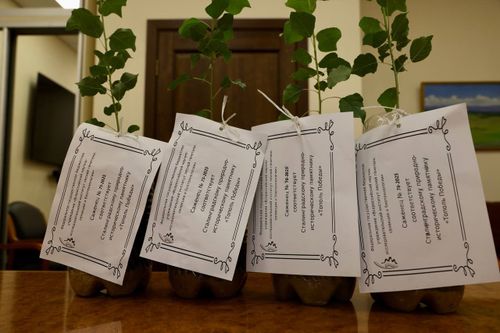 Живой символ Победы - сталинградский тополь в Кызыле