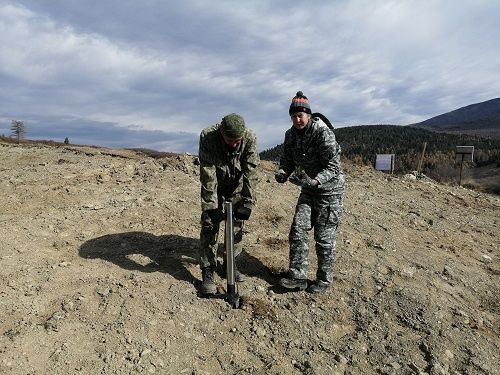 В Туве высадили 2,5 тысячи сеянцев сосны