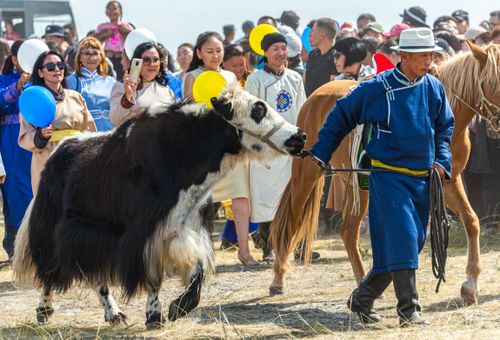 План мероприятий, посвященных Наадыму-2023
