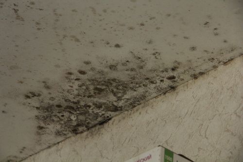 Минстрой Тувы займется устранением строительных дефектов в домах для детей-сирот Тандинского района