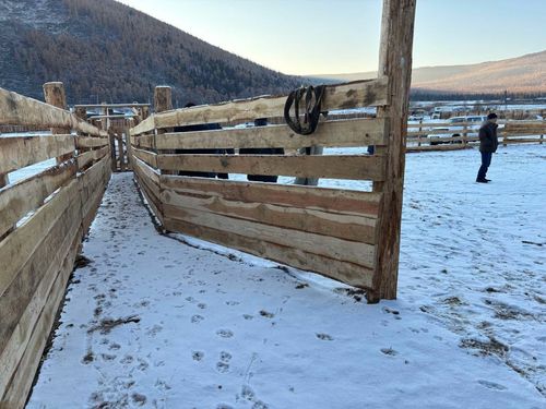 В арбане Шивилиг Пий-Хемского района открылся пункт временного содержания животных