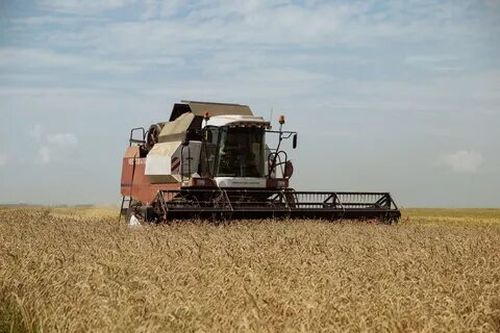 Аграрии Тувы получат 62 миллиона рублей на весенне-полевые работы