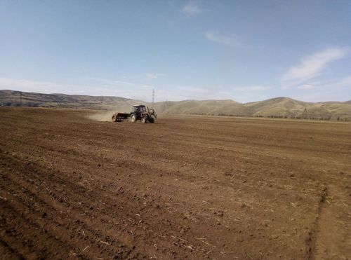 Размер посевных площадей в Туве под урожай 2023 года сократился на 14%