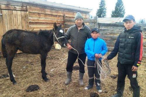Домбааларның өг-бүлези кежиин чону-биле үлешкен