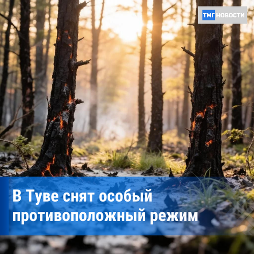 В Туве снят особый противопожарный режим, но леса остаются закрытыми из‑за медведей
