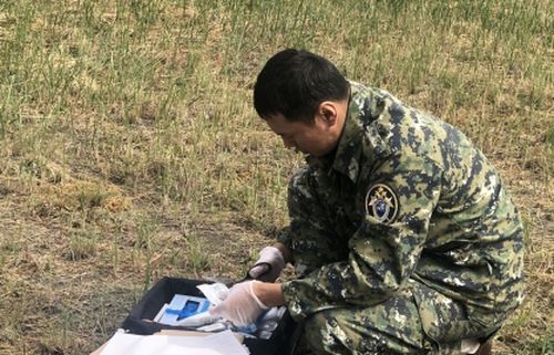 Следственный комитет Тувы организовал проверку по факту травмирования двух несовершеннолетних