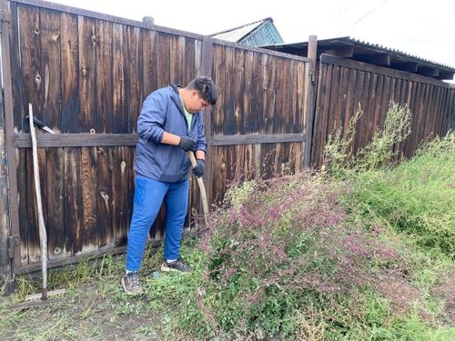 Волонтёры Тувы помогли ветерану труда в подготовке участка к осени