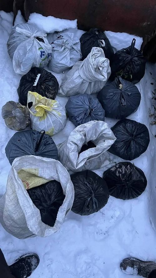 В Туве изъяли около 20 килограммов наркотиков