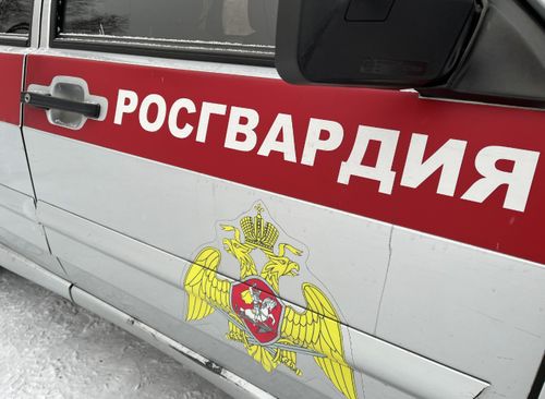 Росгвардейцы Тувы поймали вора продуктов из дискаунтера