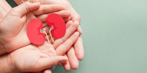 Сегодня - Всемирный день почки