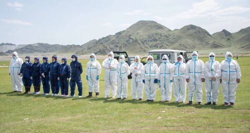 Глава Тувы поздравил ветеринарных работников с профессиональным праздником