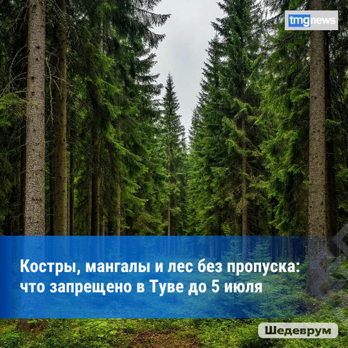 В Туве до 5 июля действует особый противопожарный режим: что запрещено и какие штрафы