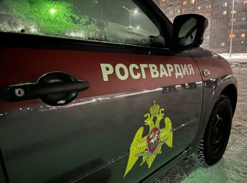 Житель Тувы, подозреваемый в краже дорогостоящего смартфона, задержан росгвардейцами