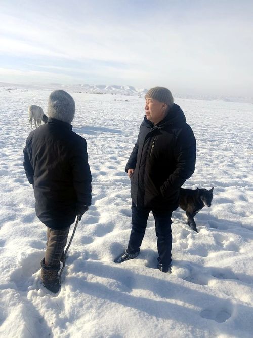 Специалисты Минсельхозпрода Тувы проверили ход зимовки скота на чабанских стоянках Кызылского района