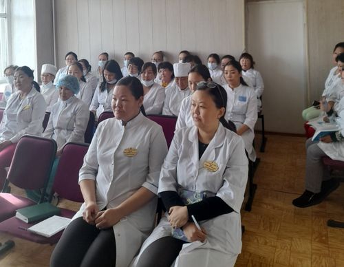 Министр здравоохранения Тувы посетил сельские ФАПы